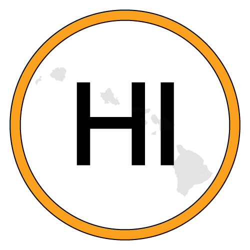 hi icon